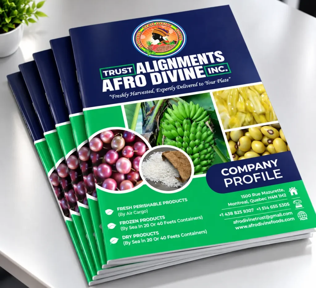 Rendered stack of Afro Divine company profile booklets