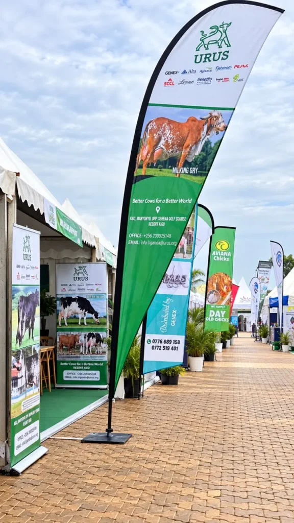 Feather flags and roll-up banners for URUS along a show-ground walkway